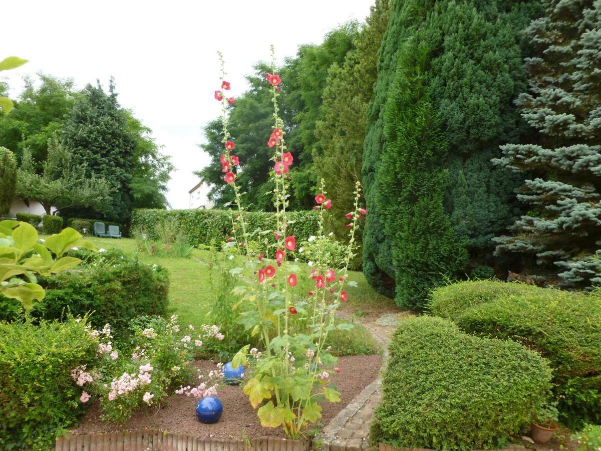 La Rose Tremiere Hotel Wintzenheim-Kochersberg ภายนอก รูปภาพ